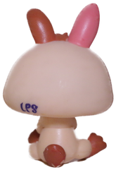 #1596 Baby Rabbit